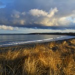 PMBeach