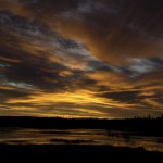 bill-curry-beaver-lake-1280-800x533